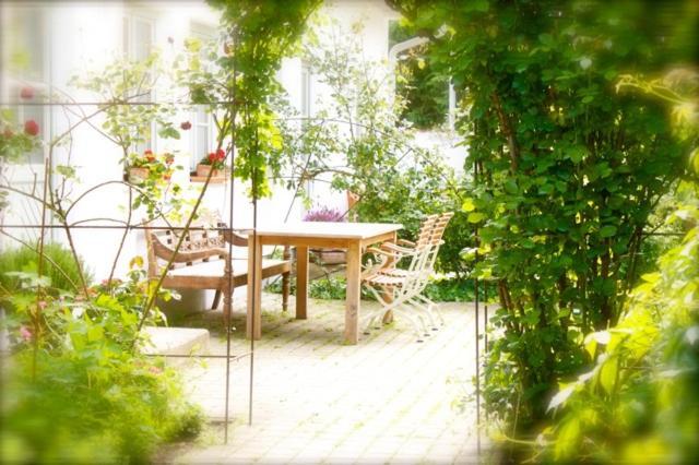 Auszeit Appartement Apetlon Buitenkant foto